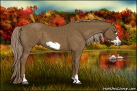 Horse Color:Chocolate Palomino Frame 