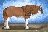 Horse Color:Chestnut Splash 