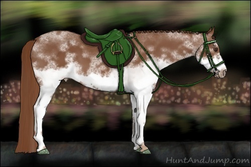 Horse Color: White Spotted Chestnut Frame 