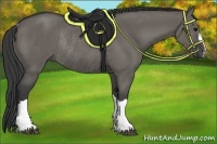 Horse Color:Grullo Rabicano 