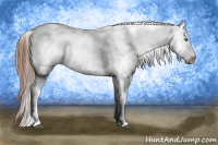 Horse Color:Liver Chestnut Frame 