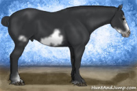 Horse Color:Brown Sabino Frame