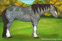 Horse Color:Liver Chestnut Ice 