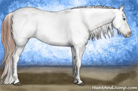 Horse Color:Liver Chestnut Frame 