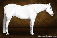 Horse Color:Black Frame 