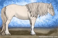 Horse Color:Perlino 