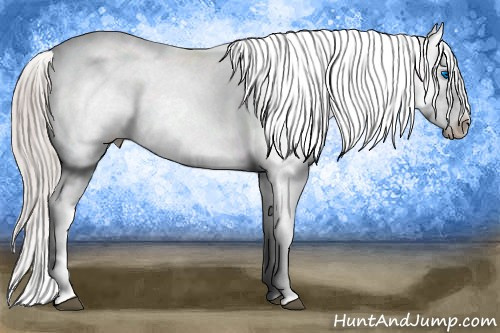 Horse Color: Silver Brown Frame 