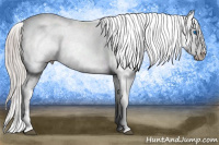 Horse Color:Silver Brown Frame 