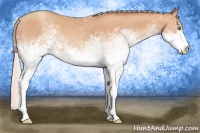 Horse Color:White Spotted Silver Amber Champagne