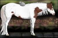 Horse Color:Silver Brown Tobiano Frame