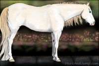 Horse Color:Buckskin Roan Pearl Splash 