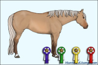 Horse Color:Silver Bay Dun Sabino 