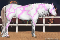 Horse Color:Liver Chestnut Frame 