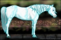 Horse Color:Thunderstruck Black Frame 