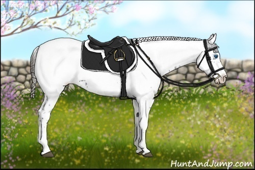Horse Color:Liver Chestnut Frame 
