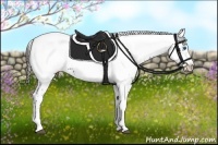 Horse Color:Liver Chestnut Frame 