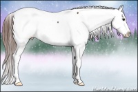 Horse Color:Bay Snowcap 