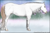 Horse Color:Chestnut Splash Snowcap 