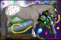 Horse Color:Grullo Roan Appaloosa