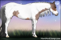 Horse Color:Bay Roan Tobiano Frame