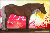 Horse Color:Silver Brown