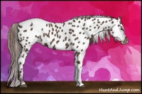 Horse Color:Liver Red Roan Tobiano Near Leopard 