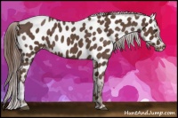 Horse Color:Liver Red Roan Near Leopard 