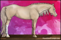 Horse Color:Chocolate Palomino Pearl 