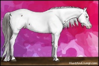 Horse Color:Liver Chestnut Fewspot 