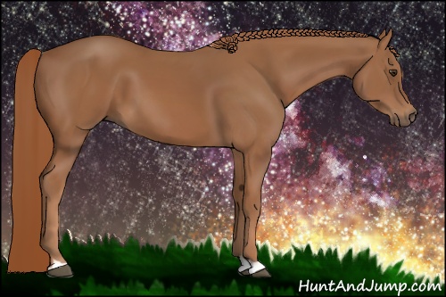 Horse Color: Chestnut 