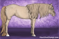 Horse Color:Perlino 