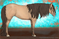 Horse Color:Amber Champagne 