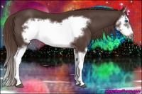 Horse Color:Liver Chestnut Splash Frame 