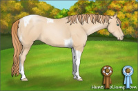 Horse Color:Smoky Black Pearl Tobiano