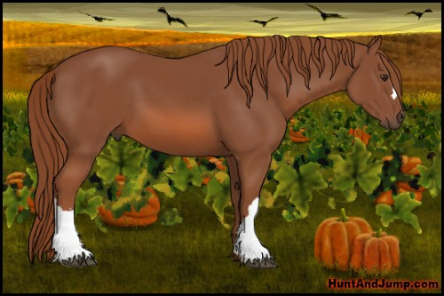 Horse Color: Liver Chestnut 