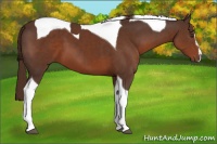 Horse Color:Liver Chestnut Sabino Tobiano 