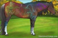 Horse Color:White Spotted Liver Chestnut Tobiano 