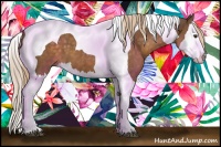 Horse Color:Chocolate Palomino Splash Tobiano