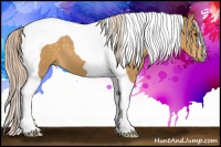 Horse Color:Palomino Tobiano 