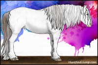 Horse Color:Liver Chestnut Sabino