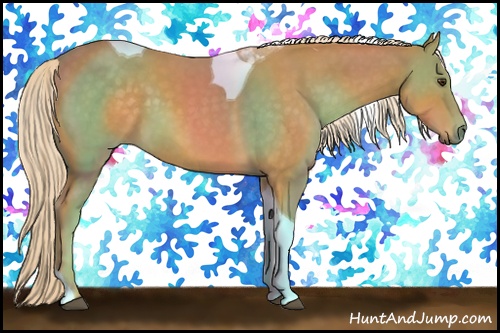 Horse Color: Palomino Tobiano 