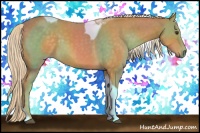 Horse Color:Palomino Tobiano 