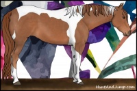 Horse Color:Chestnut Tobiano