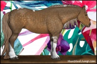 Horse Color:Chocolate Palomino Tobiano 