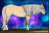 Horse Color:Silver Buckskin Roan Dun Splash 