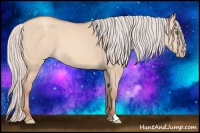 Horse Color:Silver Sable Champagne Dun 