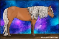 Horse Color:Silver Bay 