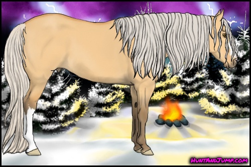 Horse Color: Silver Buckskin Dun 