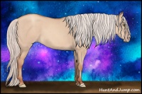Horse Color:Silver Sable Champagne Dun 