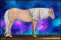 Horse Color:Silver Classic Champagne Roan 